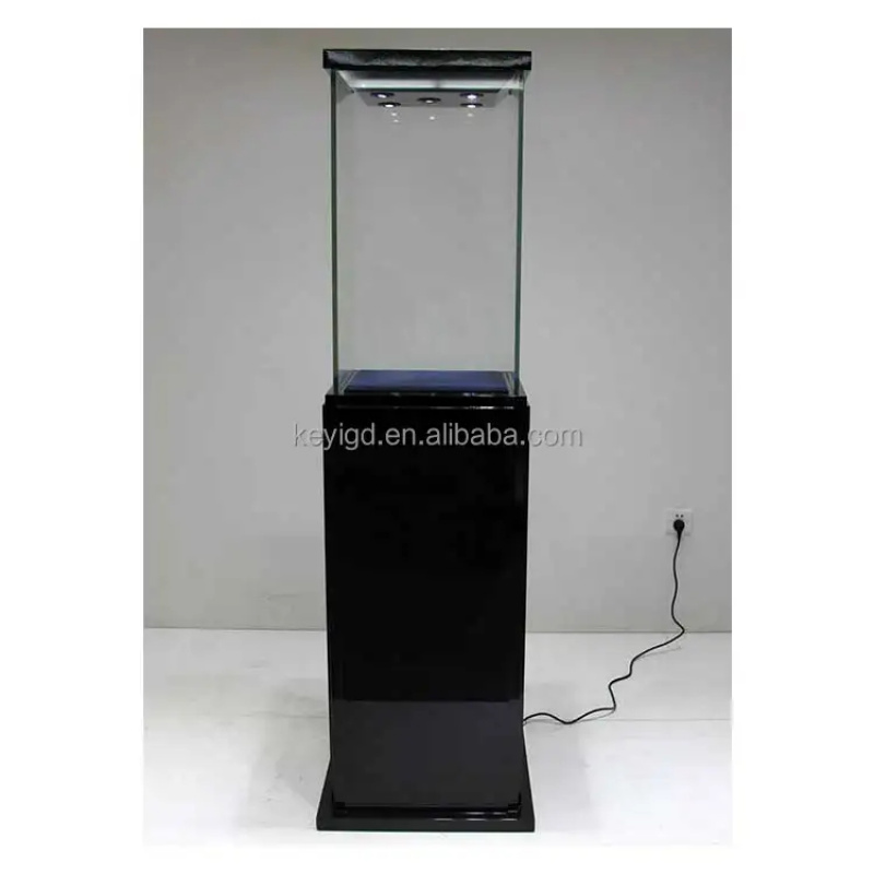 custom.Customize Jewelry Shop  – Jewelry Stand Watches Bewertung und Preis