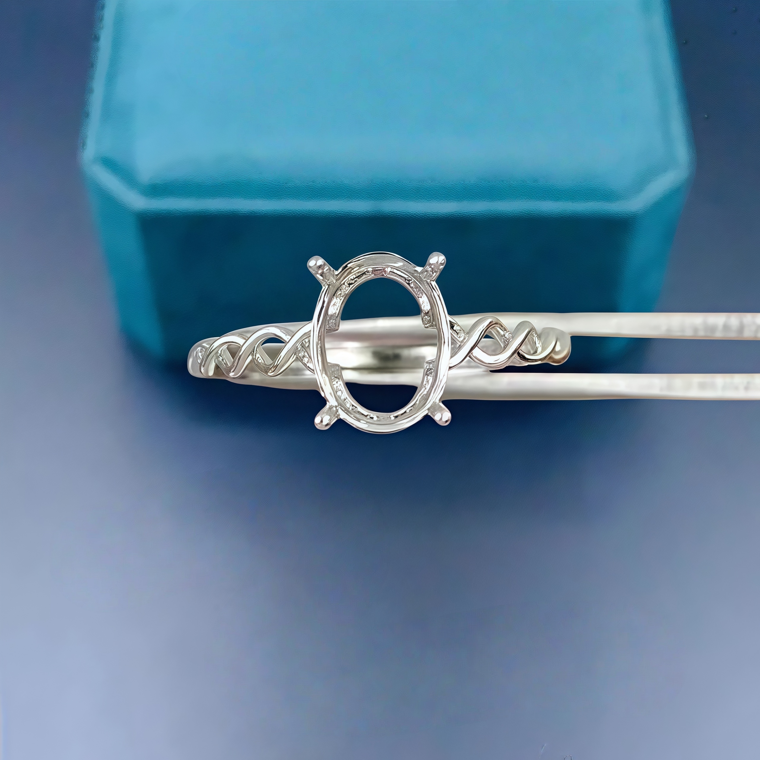 DIY Empty Ring Holder S925 Ste – Sterling Silver Ring Bewertung und Preis